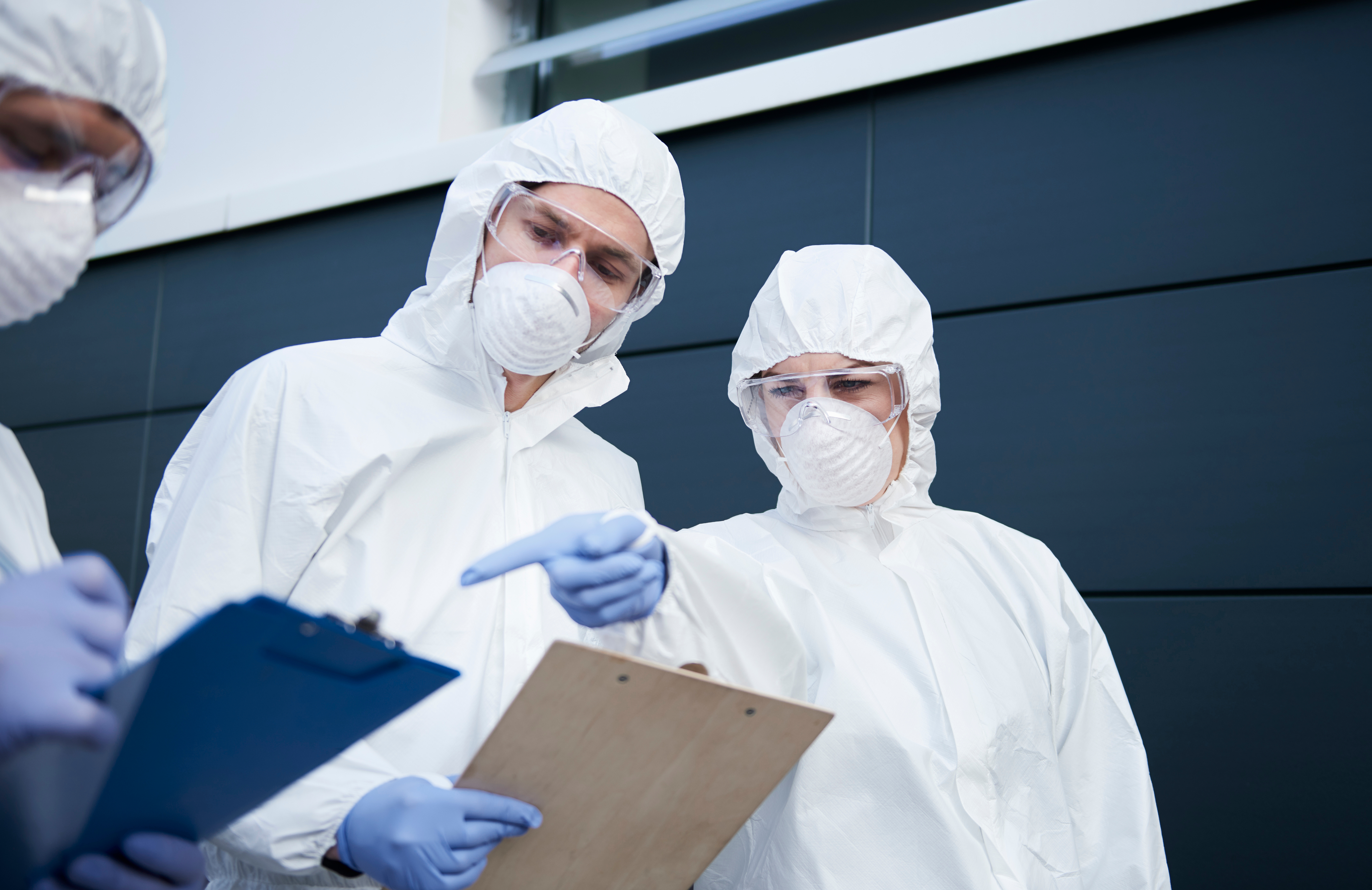 Regulatory compliance team at work